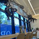 퀸미용실 | 제이퀸헤어 화곡역 미용실 중 단연코 믿고 가는 곳 솔직 후기!