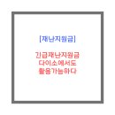 다이소 수내2호점 이미지