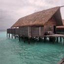 코모빌라 | 몰디브 신혼여행 리조트 코모 코코아 워터 빌라 위드 풀 내돈내산