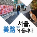 미로 이미지