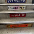 [성수 데이트] 셀프사진관 하이로그 스튜디오 내돈내산 촬영 후기