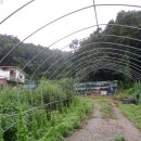 연천군마전리보건진료소 이미지