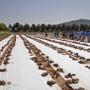 한국생명과학고등학교 이미지