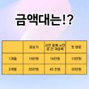 아모르 PT 이미지