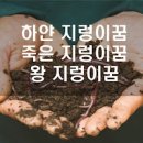 지렁이꿈 해몽 지렁이죽이는꿈 이미지