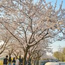 하천(충훈2교) 이미지