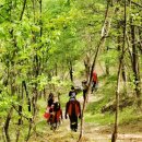 죽도봉주차장 이미지