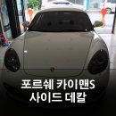 비비데칼