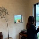 제주 소락 이미지