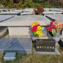 양택공설묘지 이미지