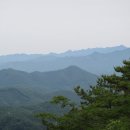 청산가든 이미지