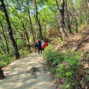 비봉산 음수대 이미지