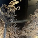 산호동365 이미지