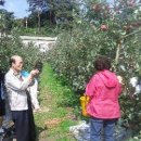 매산농원 이미지