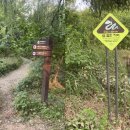 매미와 함께하는 여름여행 이미지