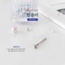 밤송이네일