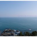 대영약국 이미지