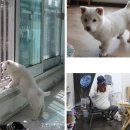 풍산오토바이