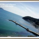 마레포스 이미지