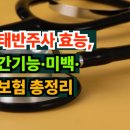 (주)알파메디칼 | 태반주사 간기능 개선, 백옥·신데렐라주사 비교, 보험 적용, 맞는 주기까지 완전 정리