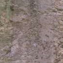 수원-1586 이미지