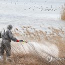 제이디팜 데일리한국