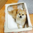 베스트 종합 동물병원 이미지