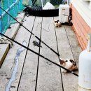 별다섯착한하우스 | 펜션을 예약하면 선외기 하루종일 탈 수 있는 통영 해상펜션 별다섯착한하우스 펜션