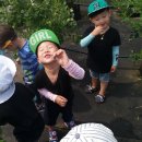 상록수농장 이미지