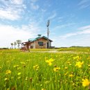 작은동물원 이미지