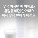매일우유 - 강서구 | 매일우유