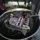 HD모터스 이미지