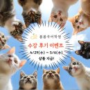 봄봄국어학원 - 남구 봉선로 173 | 전곡 봄봄국어학원 수강 후기 이벤트❣️