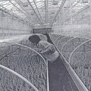 유럽의 Social Farming 사례(펌글 : 컴백60뉴스) 이미지