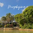 오공농장 | 미야코지마 시기라 황금온천 오공온센 아기랑 가볼만한 곳 비오는 날 놀거리