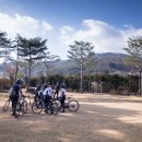 탄넨바움 이미지