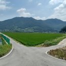 사니정원 이미지