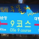 제주 올레길 9코스 이미지