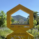 꿀벌식당 이미지