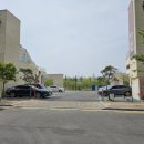 섬댕 강아지 미용실 이미지