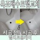 여주-1056 | 욕조배수트랩교체 점검구설치 전문 업체
