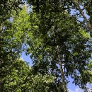 청정셀프주유소 이미지