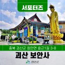 운용사석조여래좌상 | [SNS서포터즈] 청안면 민가 앞마당의 보물 괴산 보안사 삼층석탑&amp;석조약사여래좌상