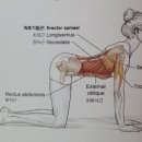 바디앤솔계룡