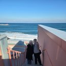 삼미농장 | [여행] 강릉, 이천 여행기(사천포구횟집, 순두부젤라또 3호점, 감자뭉팅이, 월화선물가게, 삼미분식)