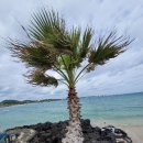 자동기상관측장비 이미지