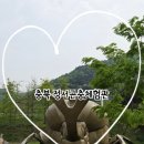 - 사슴히의 여행 : 괴산 충북 수산파크 정서곤충 체험관 진짜 후기 (어린이날 가볼만한곳, 어린이날...