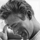 허리우드 이미지