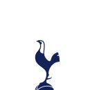 🤍 Tottenham Hotspur 인증 달글 🤍 이미지