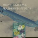 승무원이 직접 써본 마일리지 카드 추천｜삼성앤마일리지 vs KB스카이패스 vs 대한항공 현대카드120